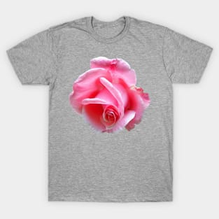 Pink rose T-Shirt